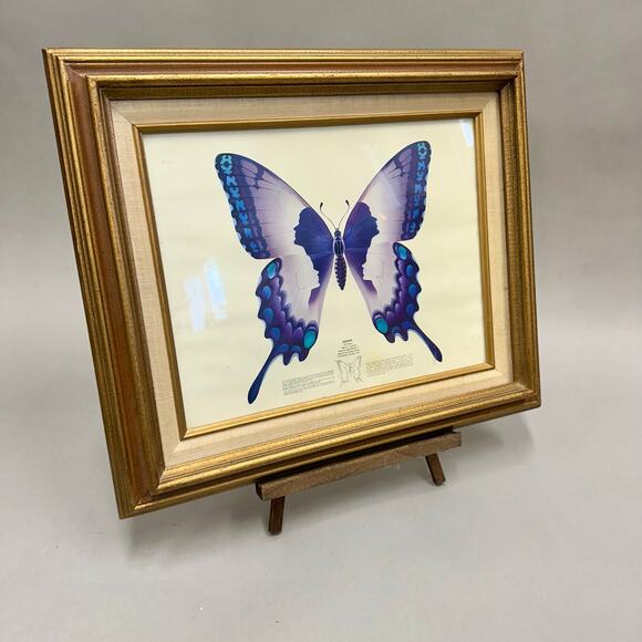 Vintage 1973 Richard A. Colborn Gemini Butterfly Print Framed 18.75"X16 - Picture 8 of 16